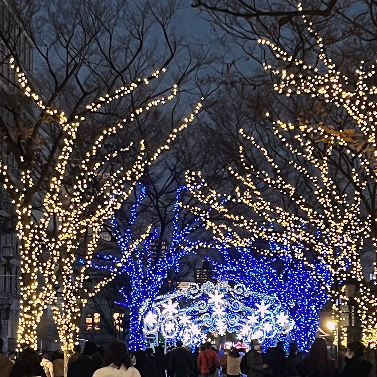 raq_tweet's tweet photo. おは���うございます🧶

#クリスマス までもうちょっと🪑🎄⚪️

同行中にクリスマスを感じる物や街並みを見るのが好きなのですが、あと少しだと思うと寂しいFです🗓

皆様の街にはどんな物がありますか？ܸܸ ꙭ ܸ 
よかったらシェア���てくださいね🧦❤︎🎅🏻
#公式企業つぶやき部

 🎞️3枚目クリスマス(?) https://t.co/rKIIg60FvD