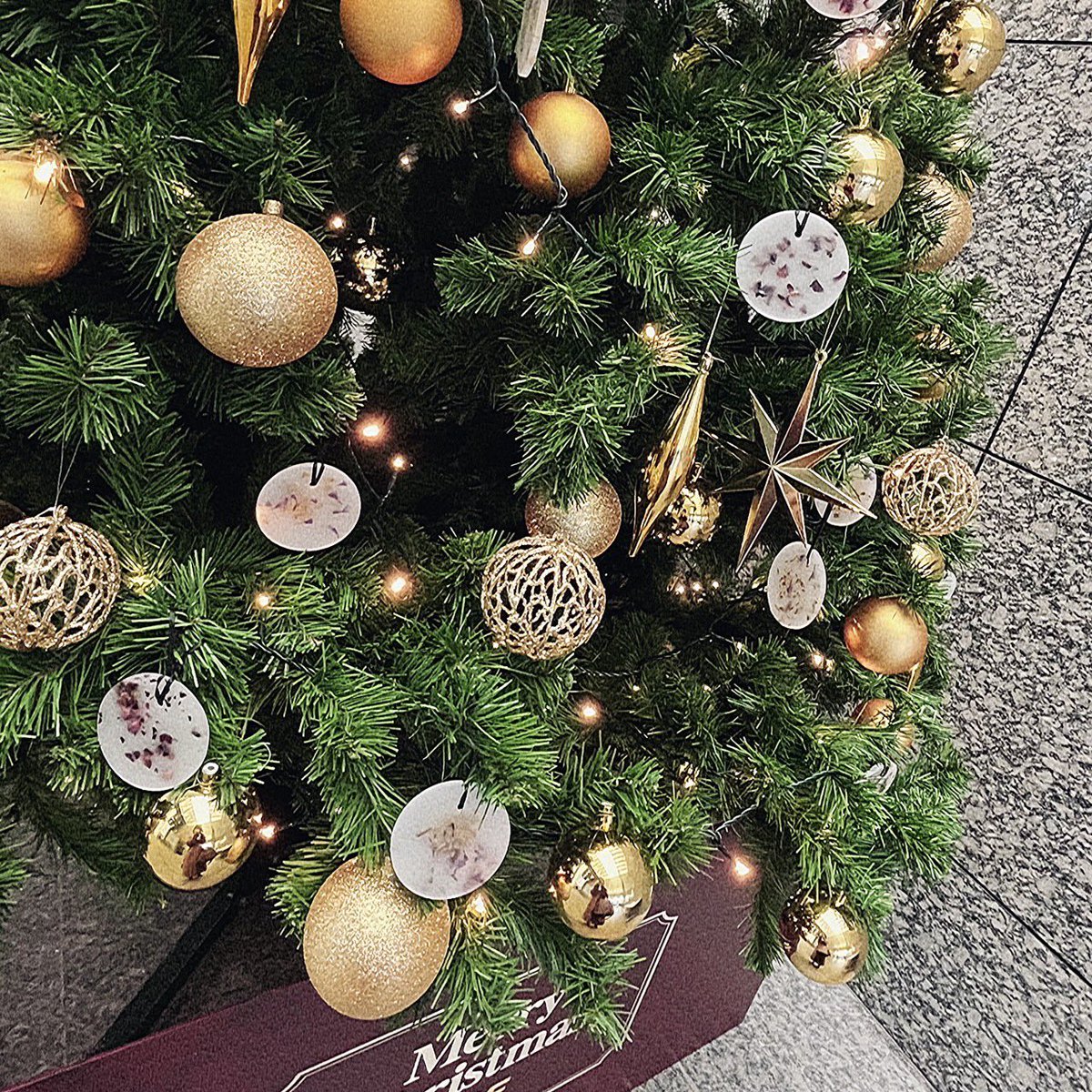 raq_tweet's tweet photo. おは���うございます🧶

#クリスマス までもうちょっと🪑🎄⚪️

同行中にクリスマスを感じる物や街並みを見るのが好きなのですが、あと少しだと思うと寂しいFです🗓

皆様の街にはどんな物がありますか？ܸܸ ꙭ ܸ 
よかったらシェア���てくださいね🧦❤︎🎅🏻
#公式企業つぶやき部

 🎞️3枚目クリスマス(?) https://t.co/rKIIg60FvD