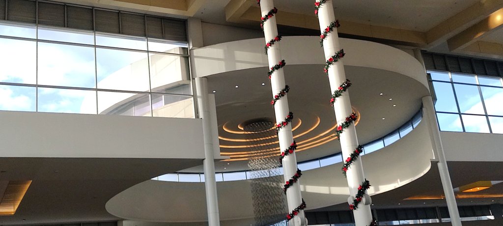 SeJsrivers05's tweet photo. Circles #arquitecture #windowsview #arquitectura #streetphotography #photooftheday https://t.co/agHfleGpLD