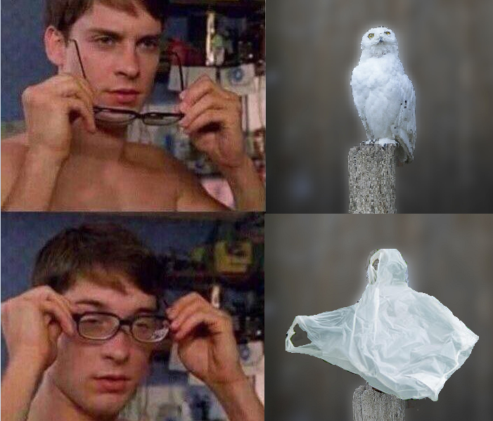 Padraic Heneghan tweet media