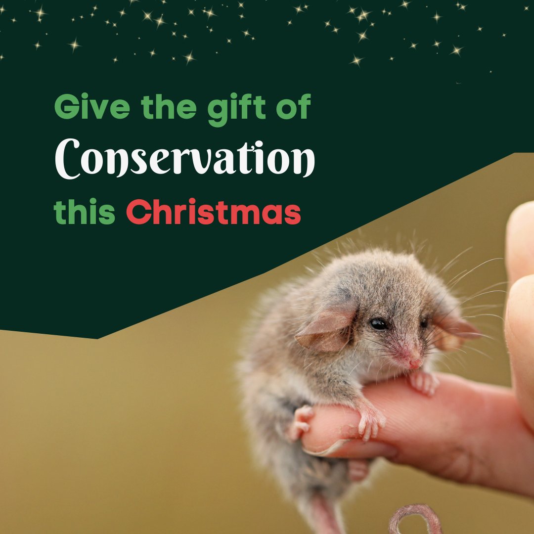 Only 9️⃣ days to go until Christmas! 🎄🎅🏻

Give the gift of conservation this Christmas: bior.org.au/give-the-gift-…