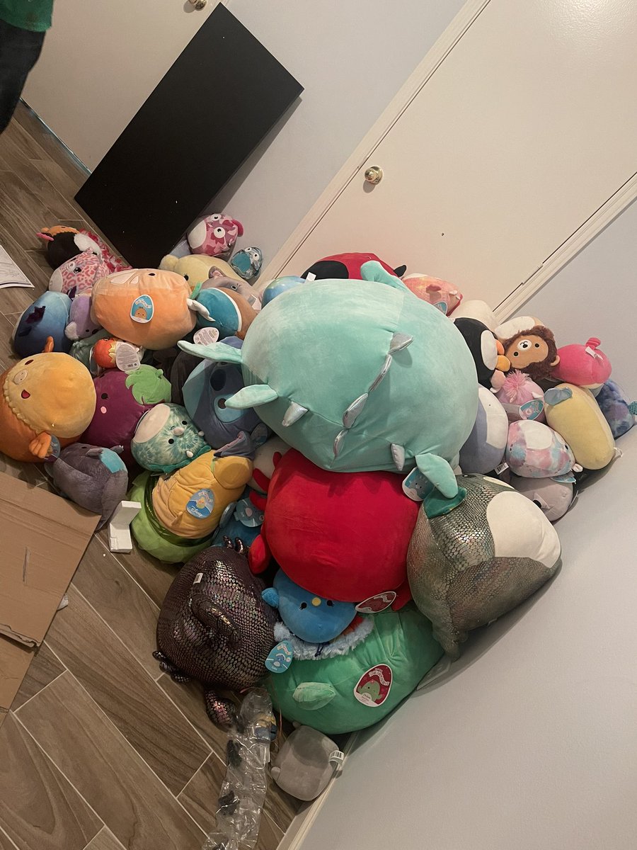 mahaio ♡ on Twitter "What happens when you have over 150 squishmallows