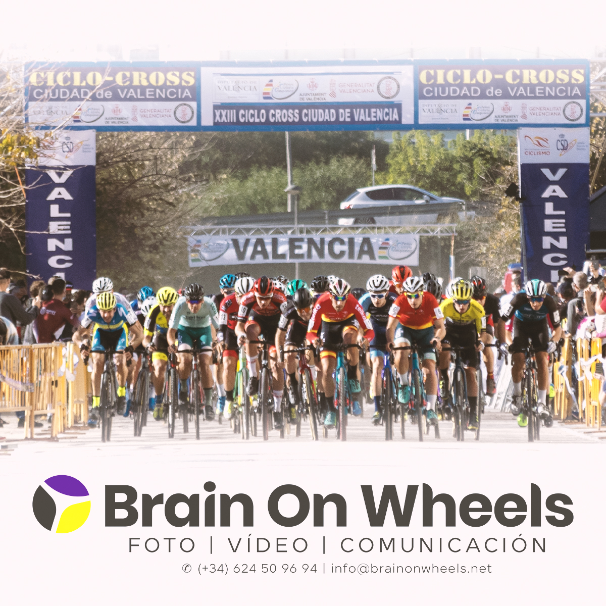 Brain on Wheels tweet media