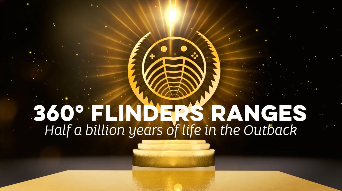 Tom Raimondo tweet media