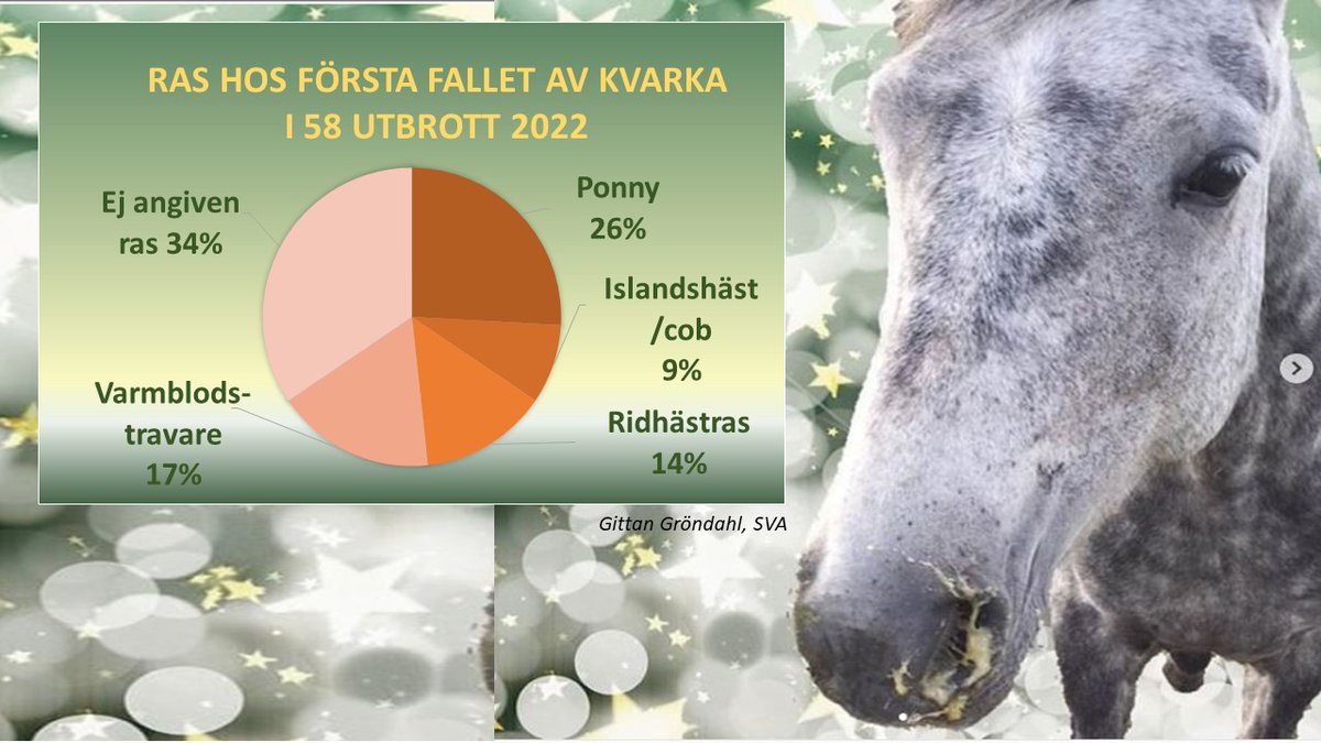 I dag deadline för att lämna in resultat till VM i kvarka, konferensen för världens kvarkaforskare. I år kommer vi med en studie som ingen annan försökt sig på - att kartlägga ett helt lands alla kvarkautbrott med smittspårningsintervjuer och genetisk analys. @SVAexpertmyndig