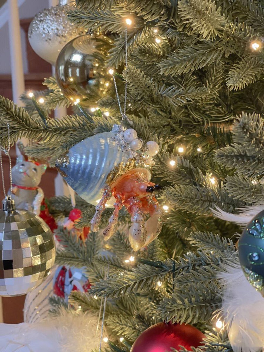 The arrival of December brings nothing but cold air and a joyful holiday atmosphere, but it can't stop us from wanting to be festive. Because there is still Santa Claus 🎅, moose 🦌, snowman ☃️, fireworks 🎇 always waiting for us