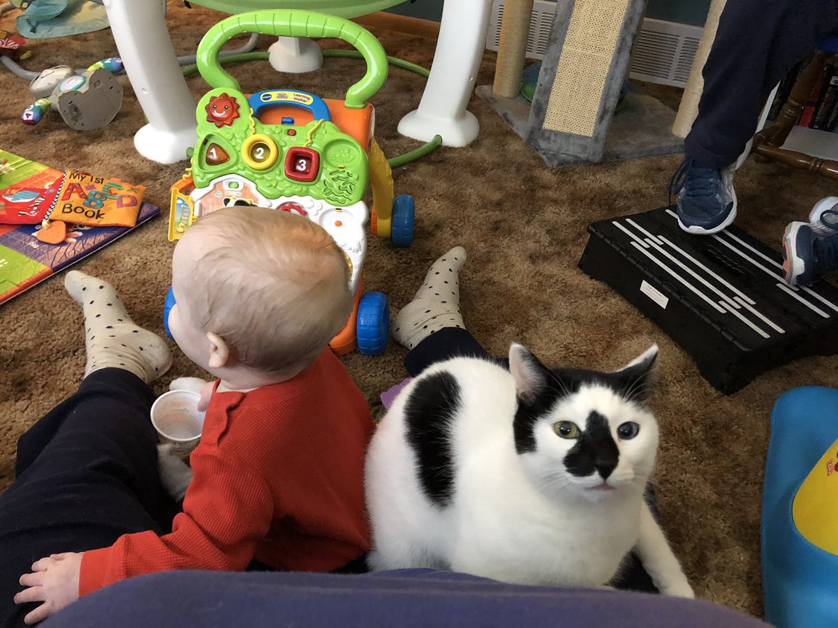 Maggie Poc tweet media