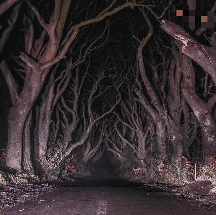 Irmã Zuleide tweet media