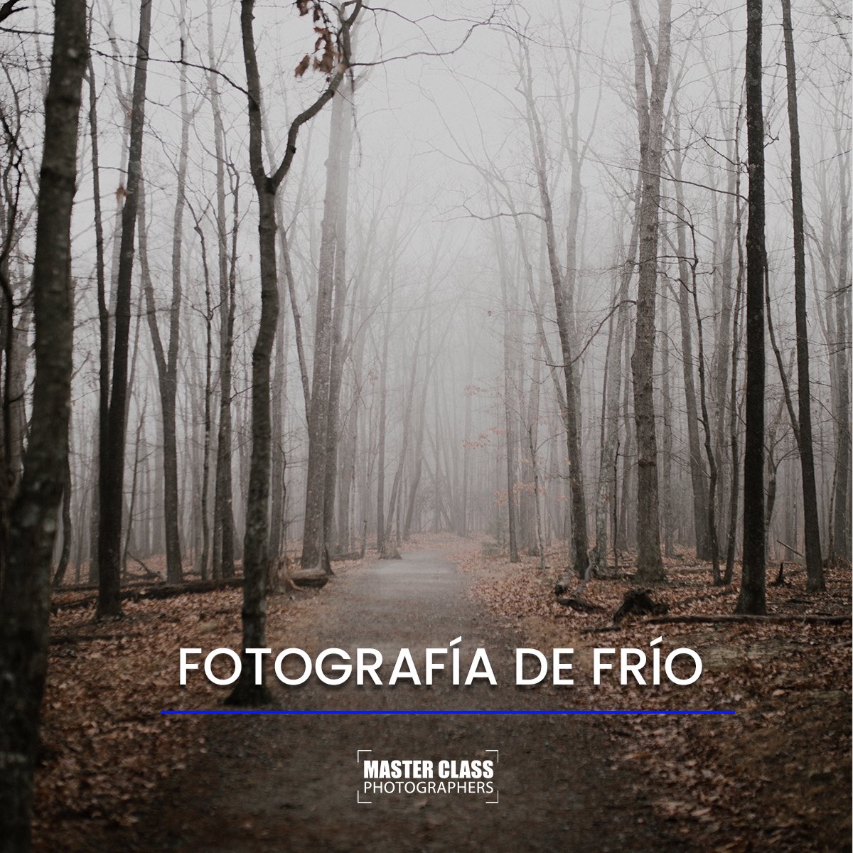 Master Class Photographers tweet media