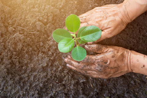 New 👉 Just 3-4 short bursts of activity everyday was associated with up to a 40% reduction in premature death from #any cause, as well as death from cancer. It was also associated with up to a 49% lower risk of death from cardiovascular disease.

nature.com/articles/s4159…