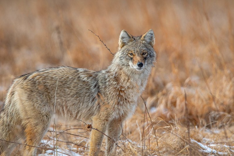 HourlyYote's tweet photo. [🔗](https://t.co/2t6Wm4duPK) https://t.co/Sti1biytLE