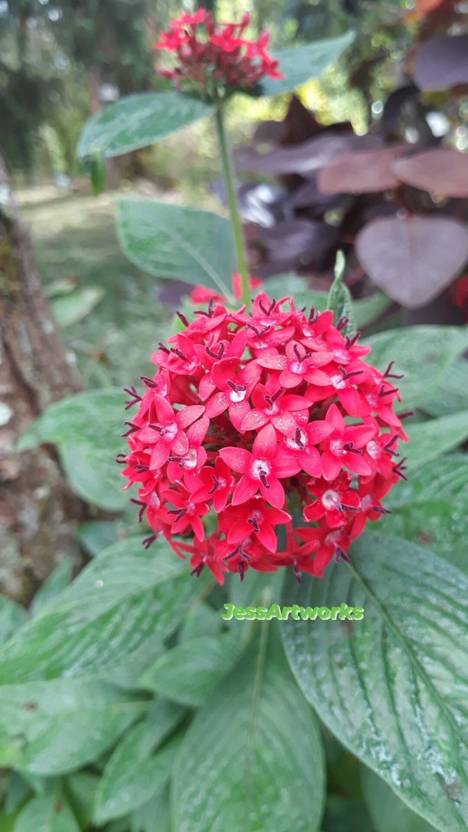 Good morning everyone!!!