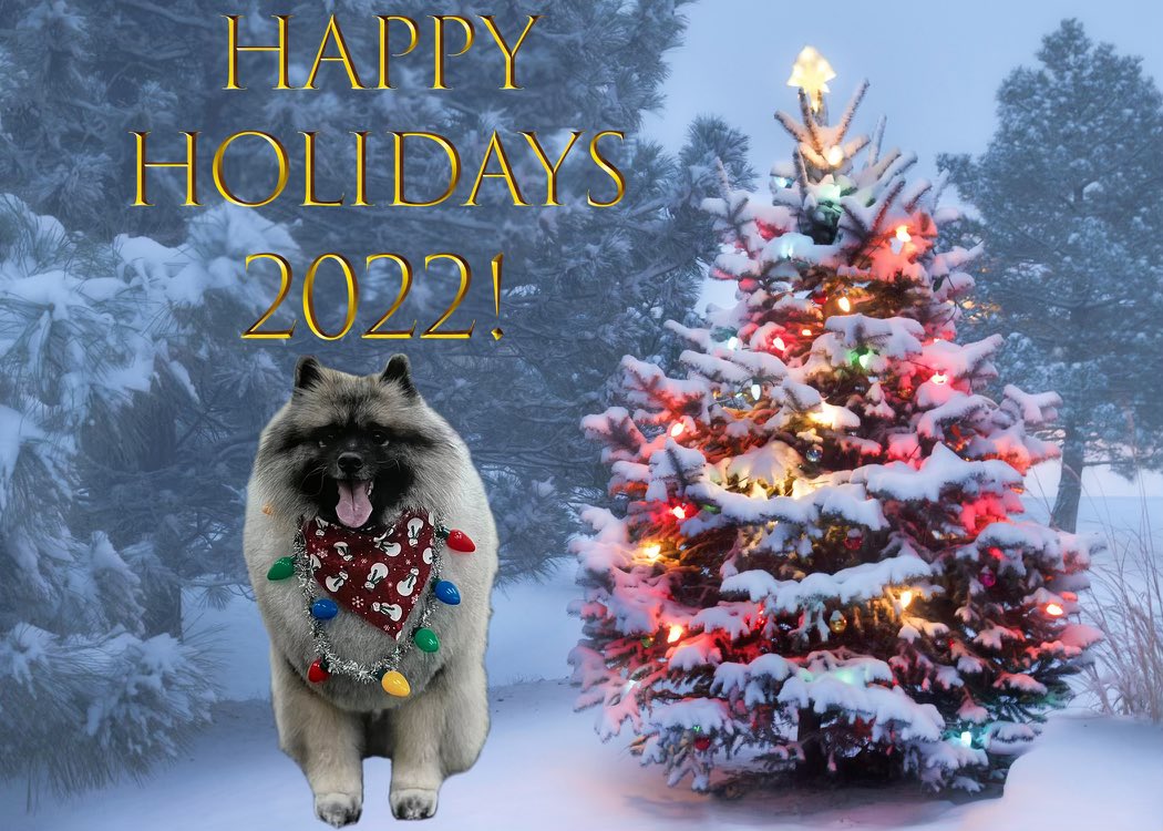 bern3344's tweet photo. @NikkiGlaser 12/10 u were my 69th BD present! One VIP became 25!
Love u ! Watching u on Netflix now! Understand why u kept telling me I ❤️ u! Love u! Asher, a therapy dog, visits nursing homes! I’m the handler! https://t.co/woUMbXa8fE