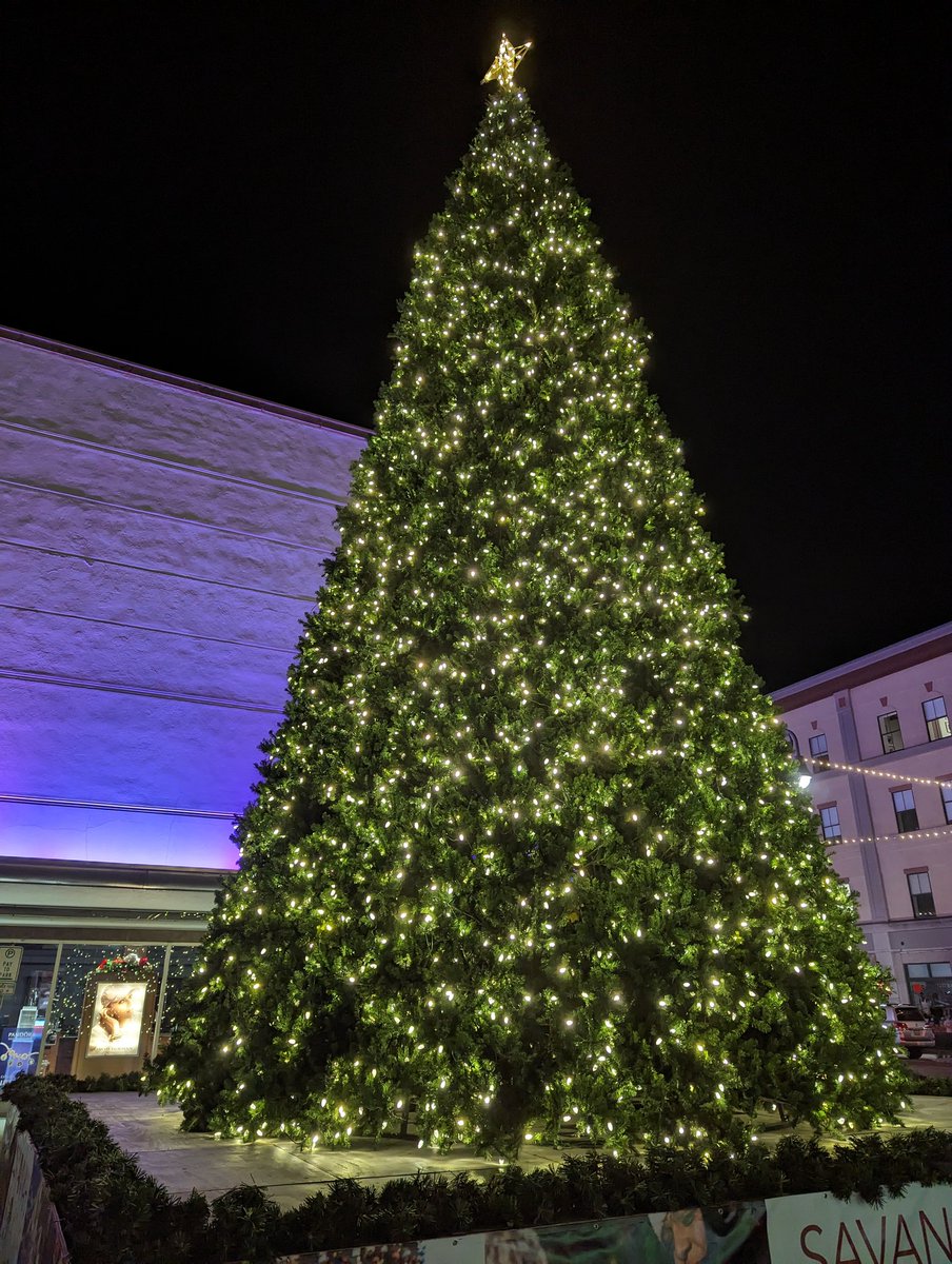 taylor_'s tweet photo. 🎄#7
one block from our home is this glorious tree put up by the city ✨
#100trees https://t.co/r041kcH4j6