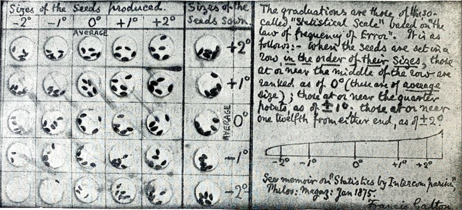 HOS_ASA's tweet photo. He used sweet peas to model the relationship of parent to offspring inheritance. An early proponent of #citizen_science, in 1875 he sent 700 seeds to 7 friends; the friends sent back the entire seed harvest &amp; Galton measured the lot. 2/3 https://t.co/JVdr31lA1I