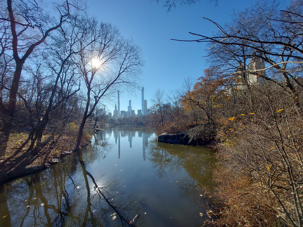 Beautiful winter colours at the stunning Central Park #iSpyNY @I_LOVE_NY