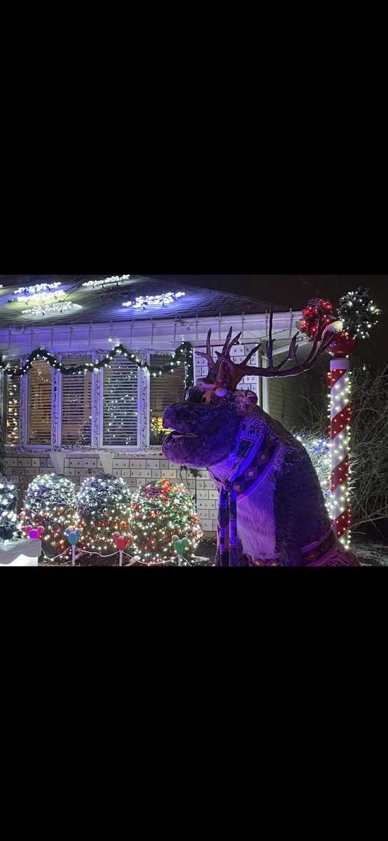 Olaf is enjoying the first snowfall of the season!! And Christmas came early for Sven with his new antlers.