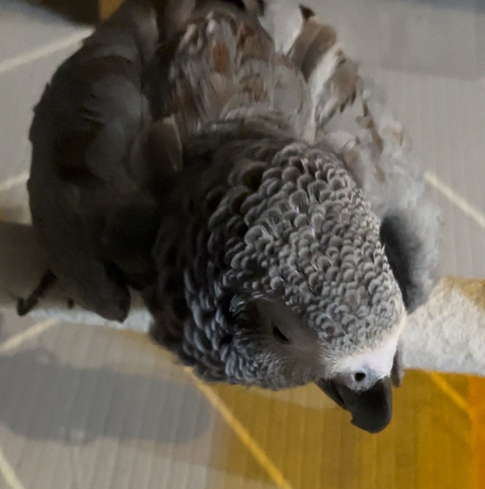 사랑해
내 곁에 와줘서 고마워
아프지말고 맛난거 많이먹고
행복해야해
사랑해

2017.10.12-2022.12.15