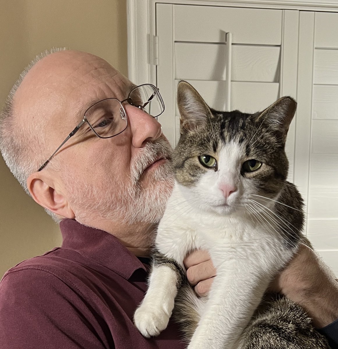 realBradStaggs's tweet photo. Pretty sure that’s the “Stop manhandling me!” Look from #DocKitty aimed @mcevoytm #WhatILearnedToday https://t.co/tNeP4axWYs