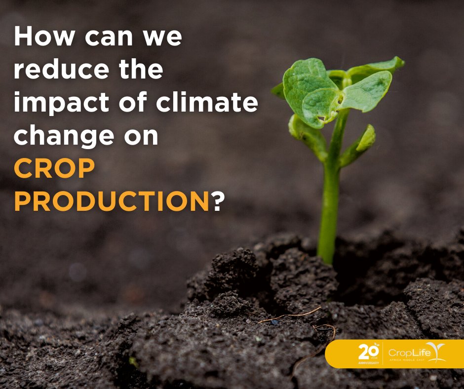 Reducing tillage, expanding crop rotations, planting cover crops and reintegrating livestock into crop production systems have proven to reduce agriculture's own footprint as well as capture the excess carbon generated by other industries. 

#CropLife20 #ClimateChange