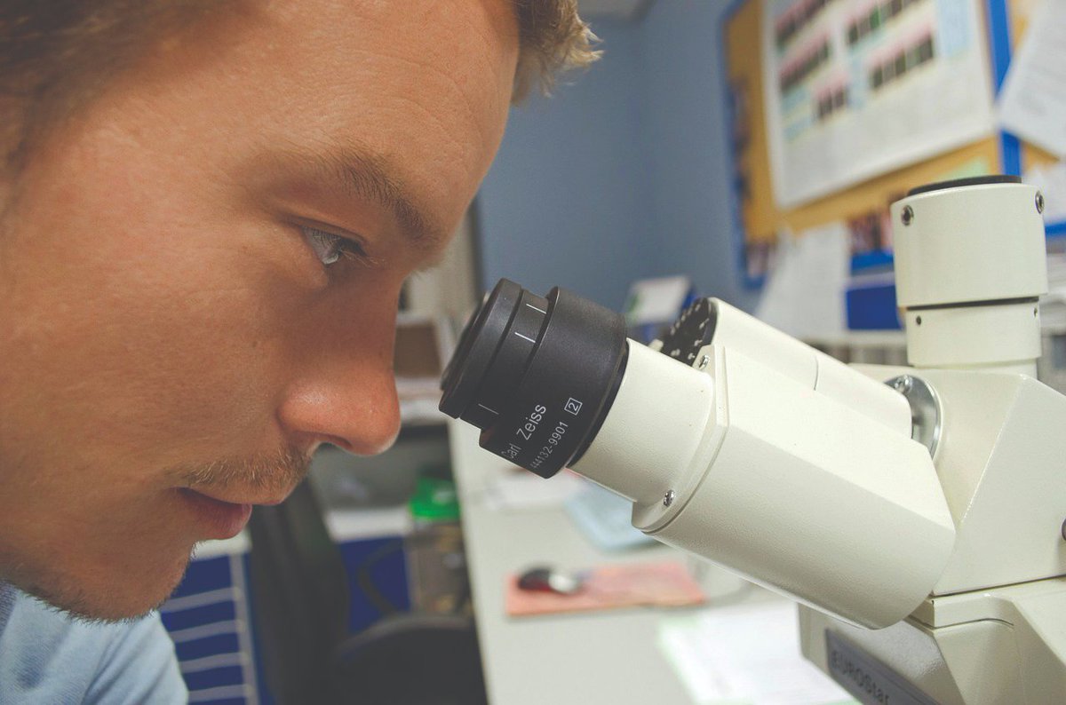 UQ Research Computing Centre (@rccuq) on Twitter photo A new imaging tool to assist Australian researchers in processing cryogenic electron #microscopy data was launched this month. Read our article that discusses this new tool as well as other #imaging tools XNAT, <a href="/Char_VirtLab/">CharacterisationVL Communications</a> & Globus.
rcc.uq.edu.au/article/2022/1… <a href="/CDataCommons/">Australian Characterisation Commons @ Scale (ACCS)</a> A new imaging tool to assist Australian researchers in processing cryogenic electron #microscopy data was launched this month. Read our article that discusses this new tool as well as other #imaging tools XNAT, <a href="/Char_VirtLab/">CharacterisationVL Communications</a> & Globus.
rcc.uq.edu.au/article/2022/1… <a href="/CDataCommons/">Australian Characterisation Commons @ Scale (ACCS)</a>