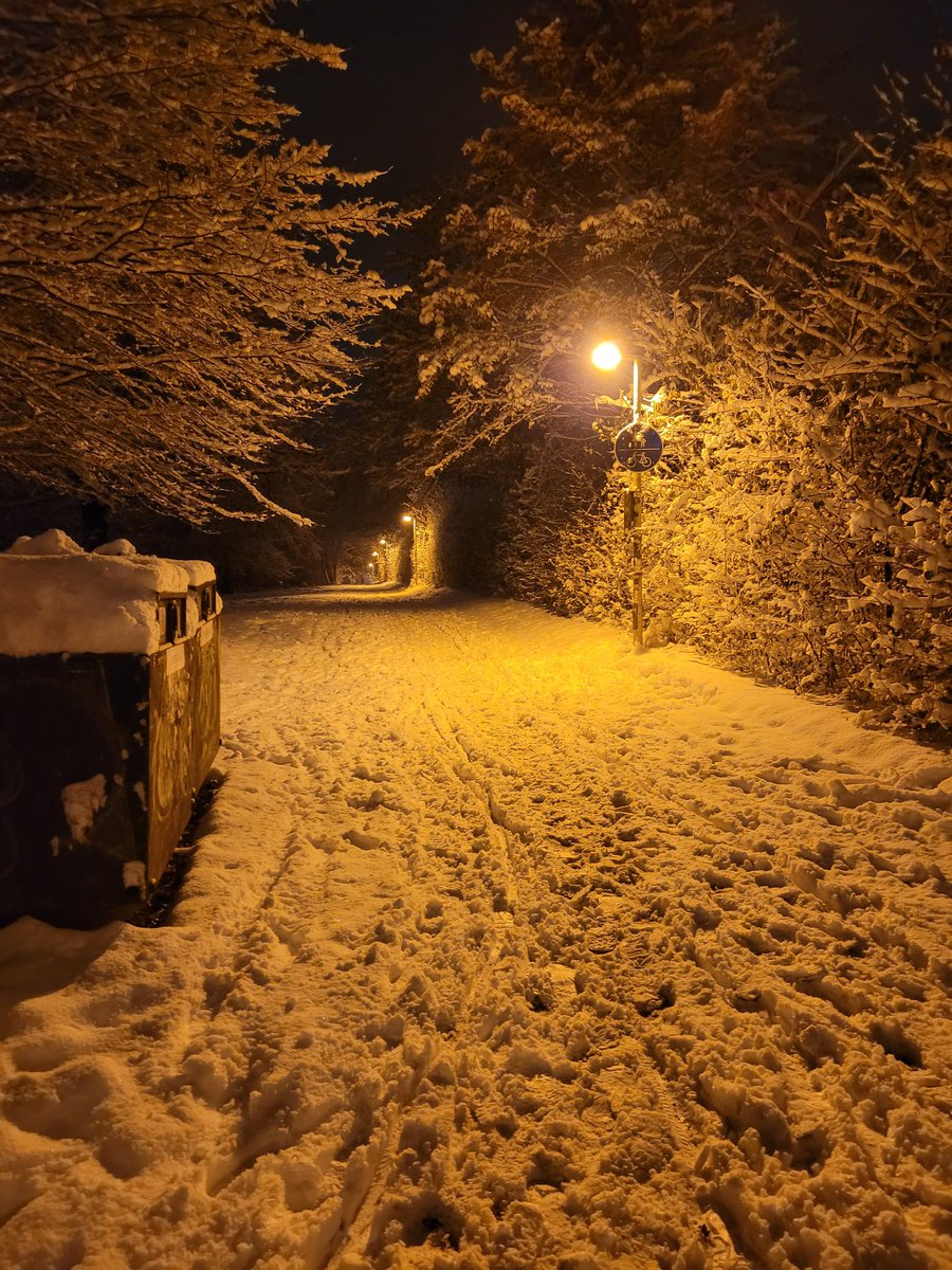 KunoWRLD tweet media