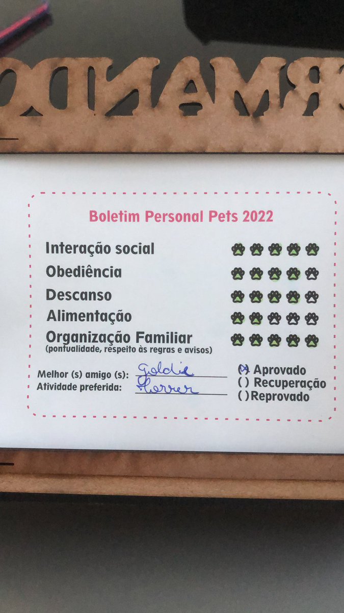 Eu não estou sabendo lidar com boletim escolar/diploma dos cachorrinhos haahahaha 😍