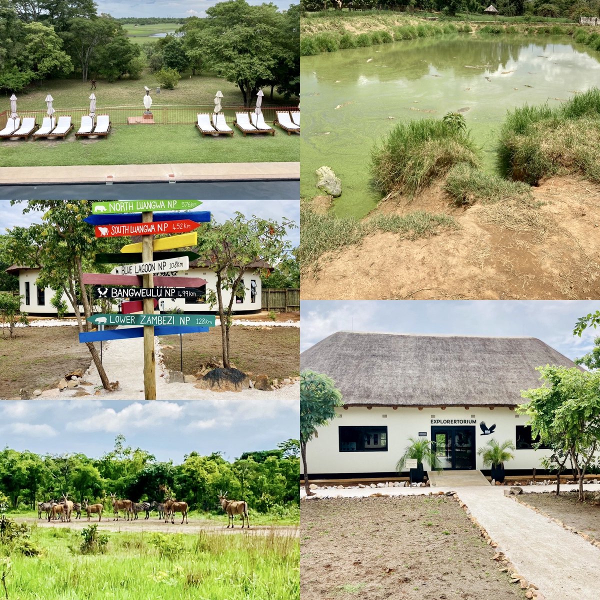 Jonny Spowart (@jonnyspowart) on Twitter photo Term finished last Friday & I’ve had the enormous privilege of spending the week here in Zambia with incredible hosts <a href="/AISLusaka/">AIS Lusaka</a> on a recce trip for a visit next academic year. A truly beautiful and friendly country… can’t wait to bring the pupils out here! 🇿🇲 Term finished last Friday & I’ve had the enormous privilege of spending the week here in Zambia with incredible hosts <a href="/AISLusaka/">AIS Lusaka</a> on a recce trip for a visit next academic year. A truly beautiful and friendly country… can’t wait to bring the pupils out here! 🇿🇲
