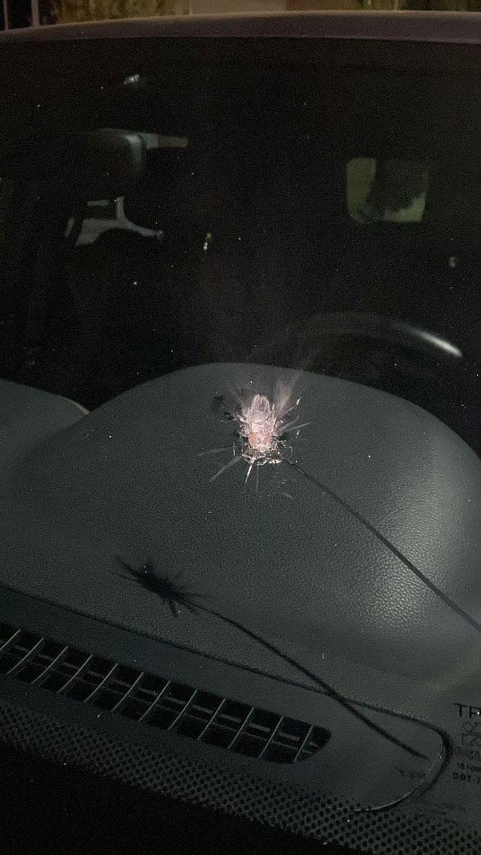 CiroGomezL's tweet image. Agradezco sus mensajes. Me salvó el blindaje de la camioneta. CGL