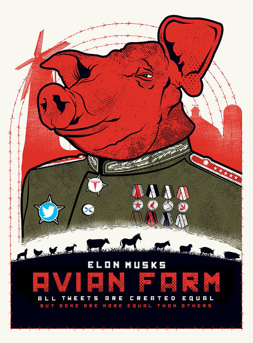 Jeff Shafer tweet media