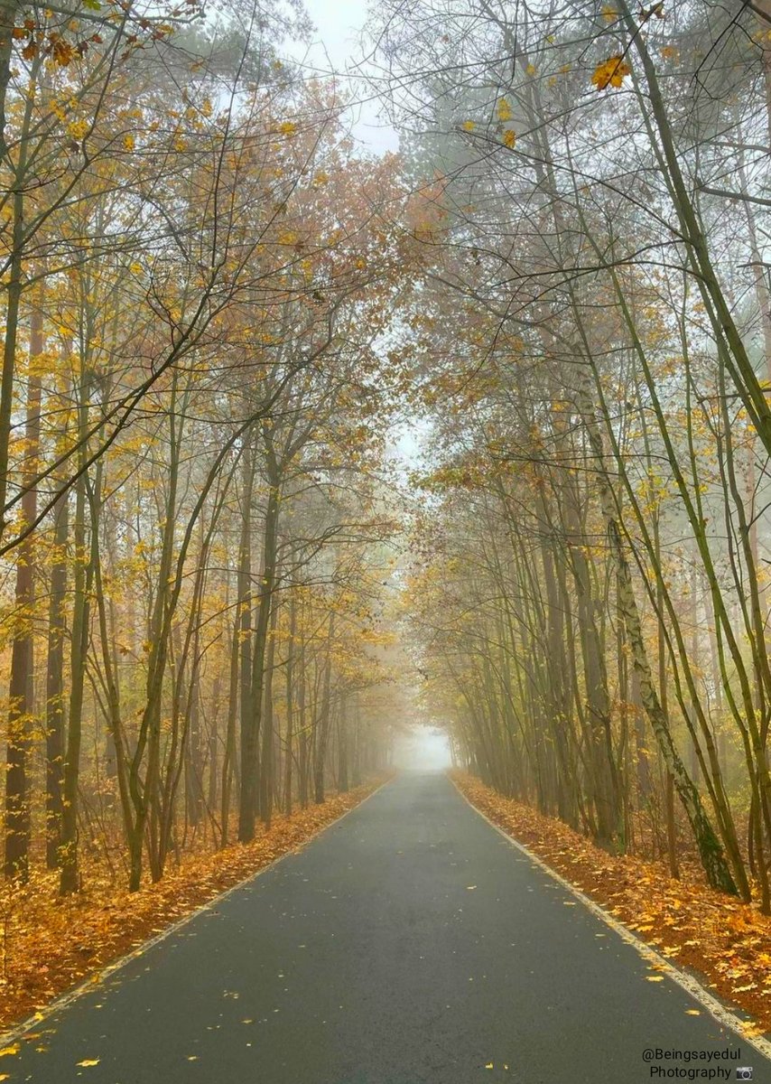 Good morning.🍂🌿🍃🌿🍂
Have a blessed Friday.💞🙏💞