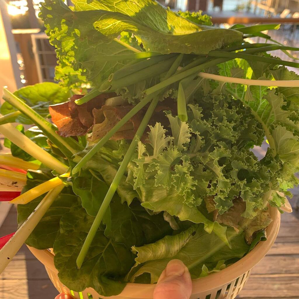 Angela Conrad Church tweet media