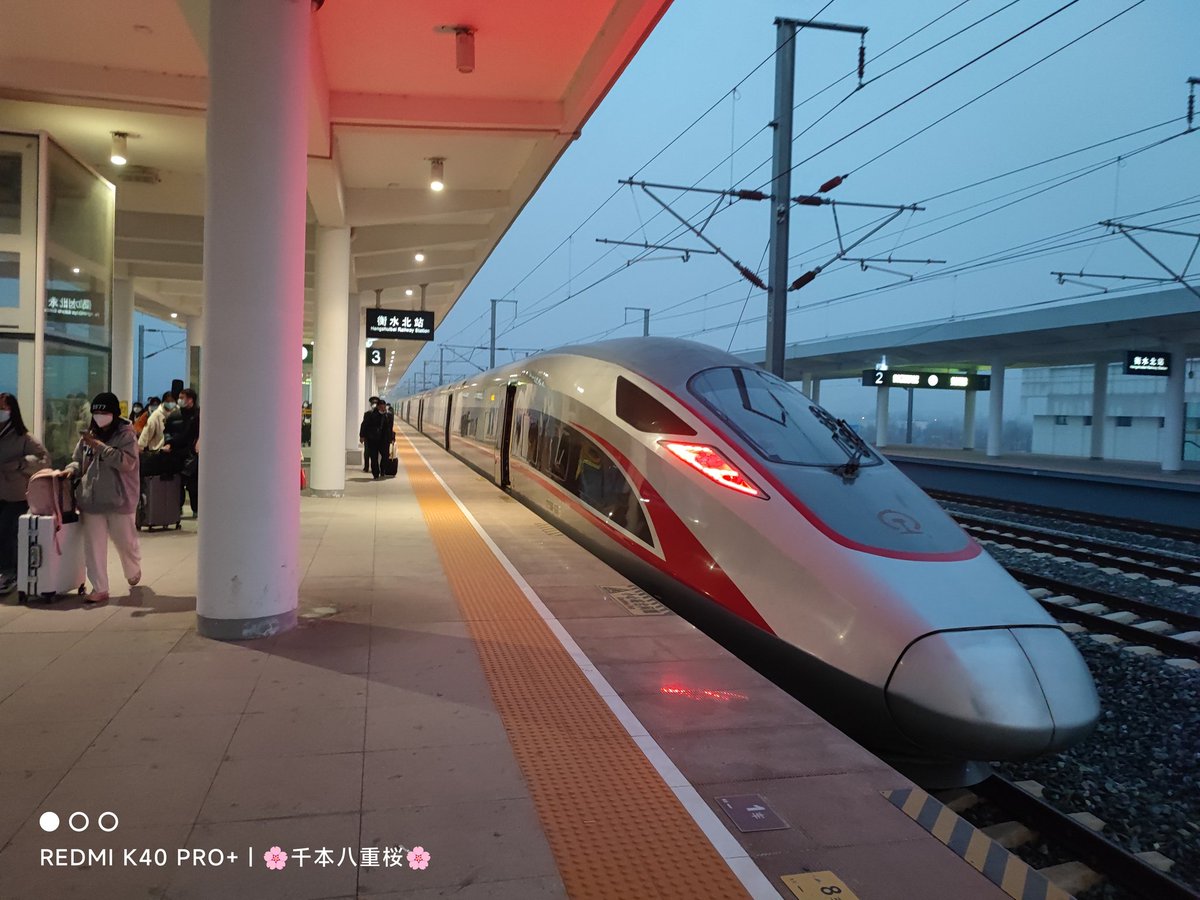 qb_sakura's tweet image. Go home.
Then I got COVID-19 and rested for a week.🤧