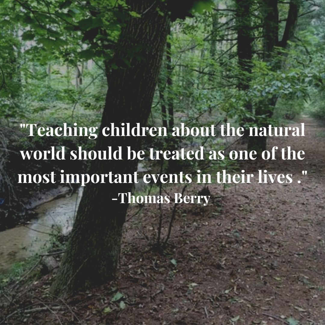 Nature provides countless opportunities for discovery, creativity, &amp; problem-solving. In nature, children think, question, and make hypotheses — thereby developing inquisitive minds. 

Schedule A Custom Tour: tinyurl.com/mr4yw74r

#natureschool #reggioemilia