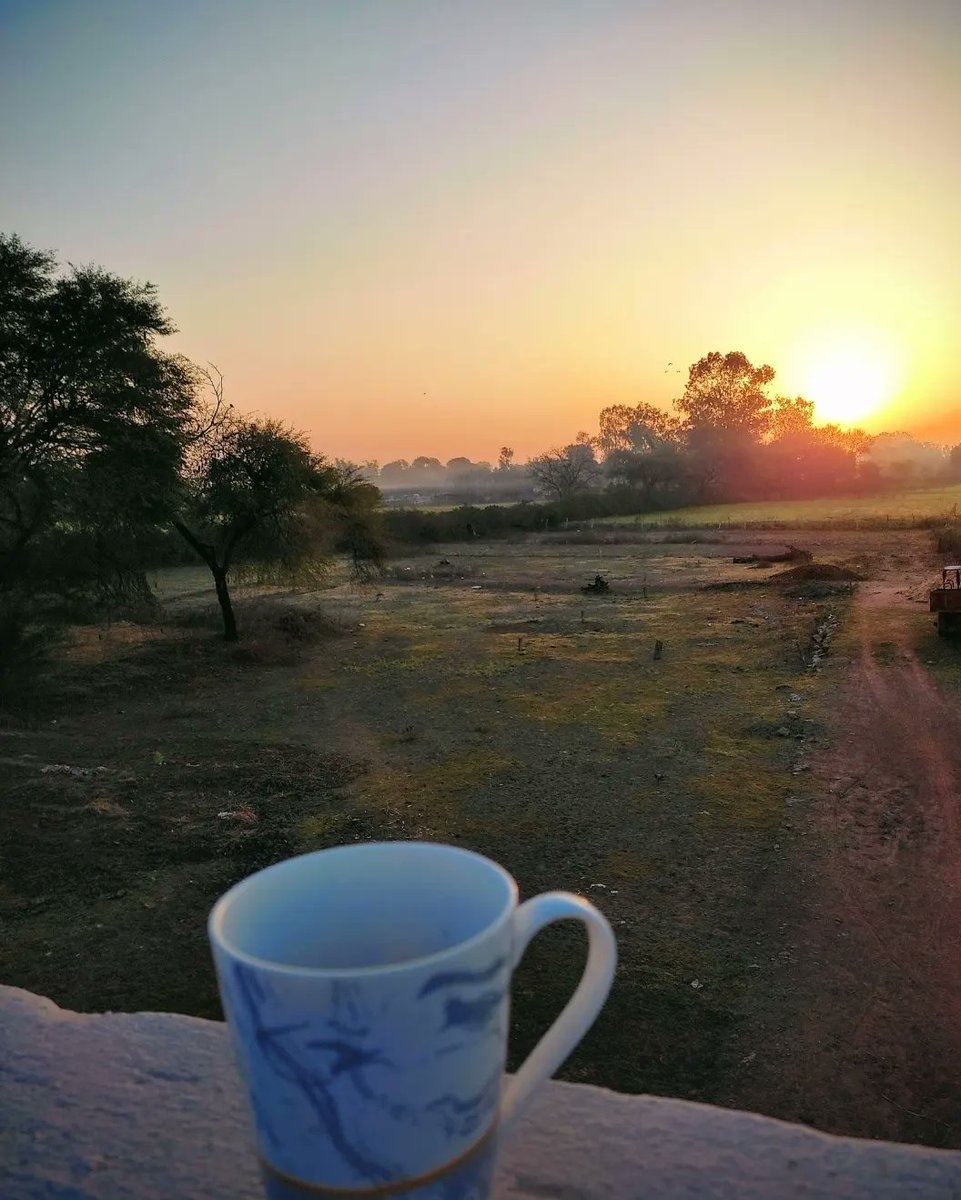 authorsangeeta's tweet photo. #morning #sunrise #tea https://t.co/d0EAzFIiTM