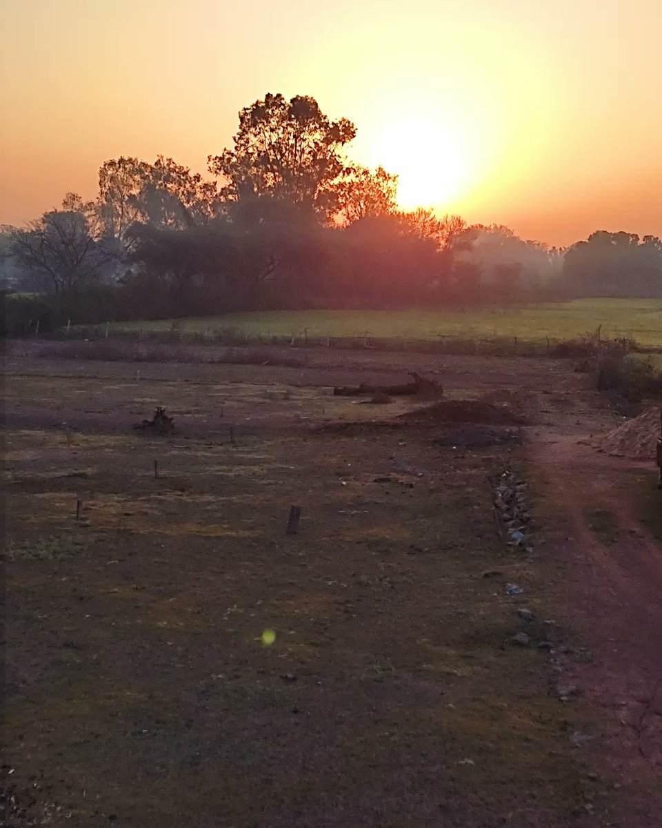 authorsangeeta's tweet photo. #morning #sunrise #tea https://t.co/d0EAzFIiTM