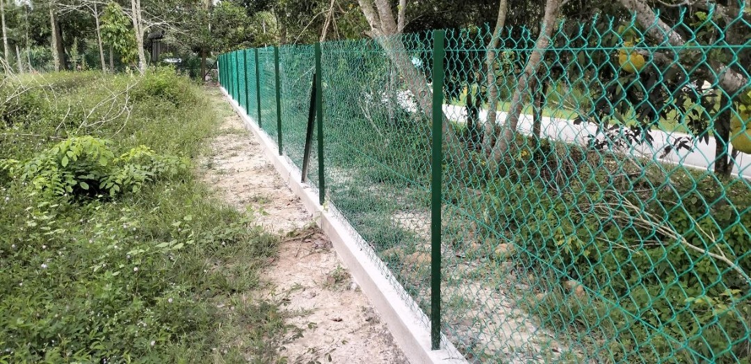 15 Disember 2022

Majlis Penyerahan bagi Kerja-Kerja Pembaikan Pagar dan Tandas serta Kerja Berkaitan di Sekolah Kebangsaan Palong 5 (FELDA), Daerah Jempol, Negeri Sembilan Darul Khusus.

#JasaKepadaRakyat 
#TogetherWeDeliver 
#BersihMuafakatSejahtera