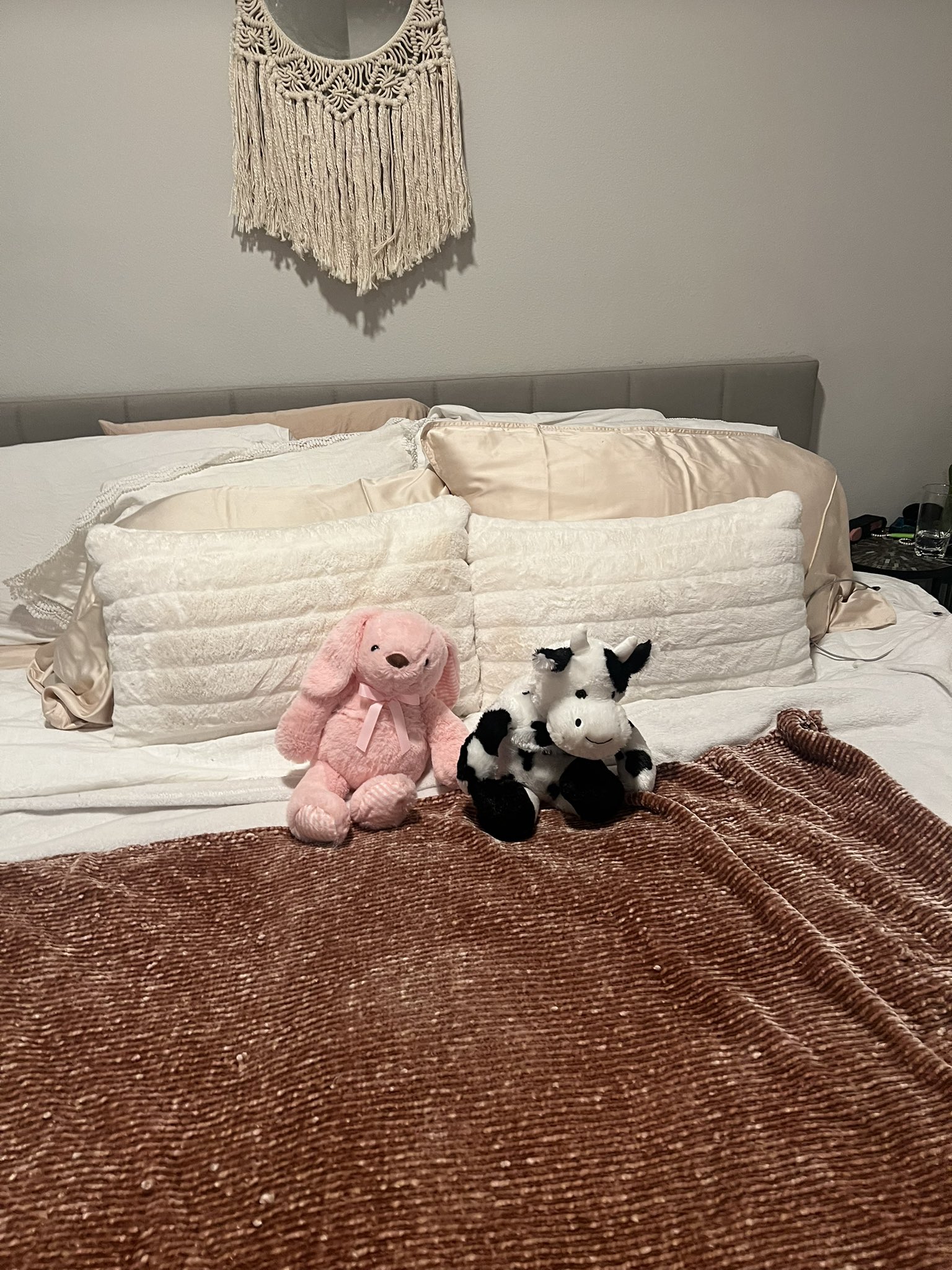 TW Pornstars - 2 pic. Rachel Rivers. Twitter. Got my wisdom teeth out