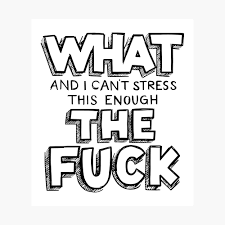 💙Melody🐬Texas_Blue_Belle🦋 tweet media