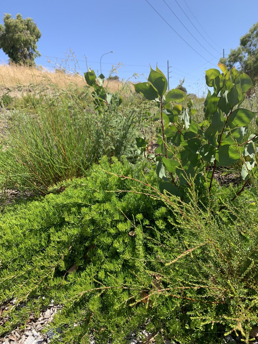 Ali Babington tweet media