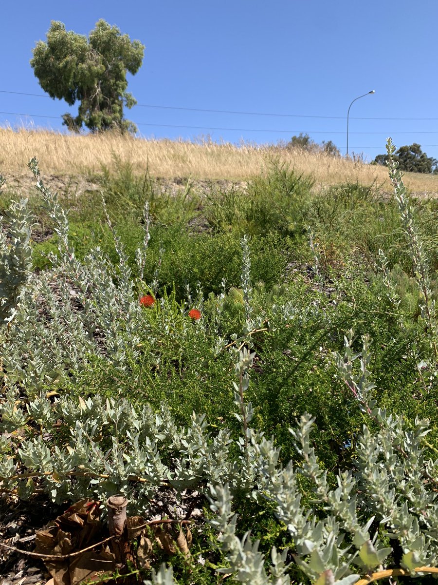 Ali Babington tweet media