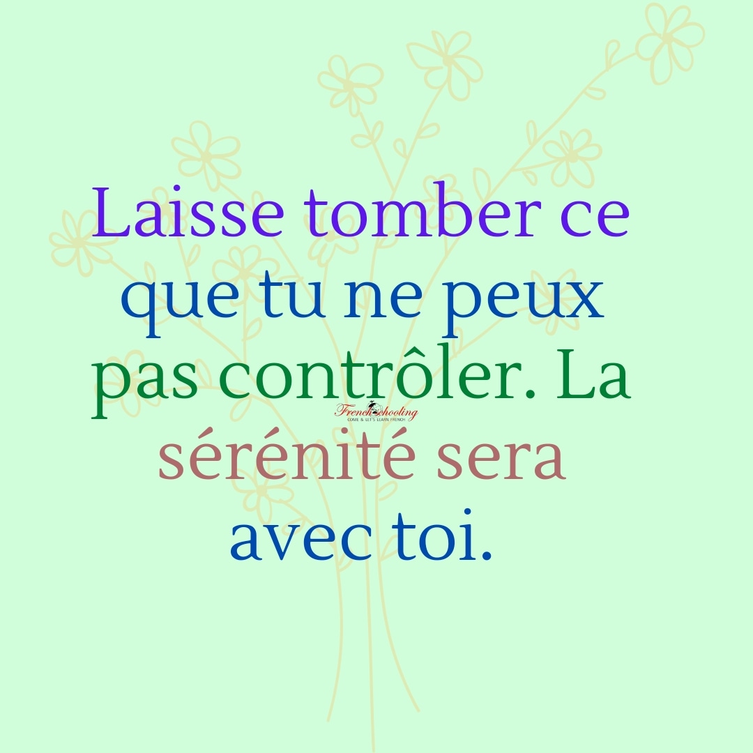 frenchschooling's tweet photo. Bonne journée tout le monde https://t.co/SNdCVePyxd
