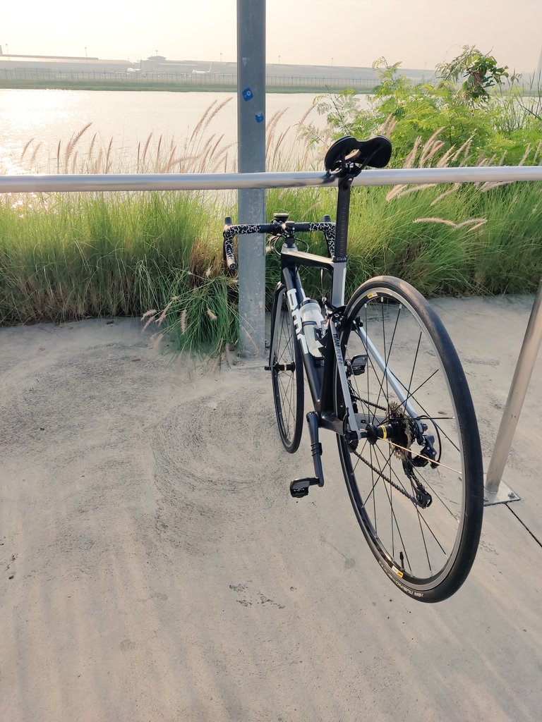 makuromi's tweet photo. Let's go ride 🚴🏼💨🔥https://t.co/mmEsNZDgBj @w3ride @xlllth13 @ddonut997 @Periergos__ @dadjai @whalecartelGT #dringdring #cycling #cardanoNFT #web3 #mobileapps https://t.co/kHcQ8Ae5y4