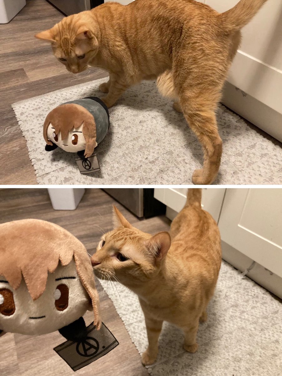 my boys. my two beautiful sons. my children.