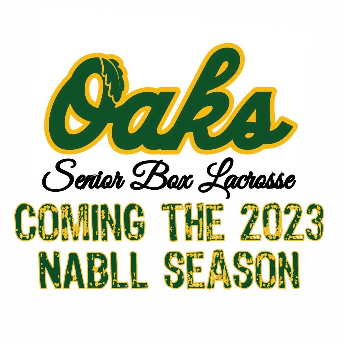 neoakslax's tweet photo. FINALLY!!! Senior Box is coming to Western Massachusetts and the Connecticut Valley in 2023!#lacrosse #boxlacrosse #boxla #boxlax https://t.co/8gQvboBhTu