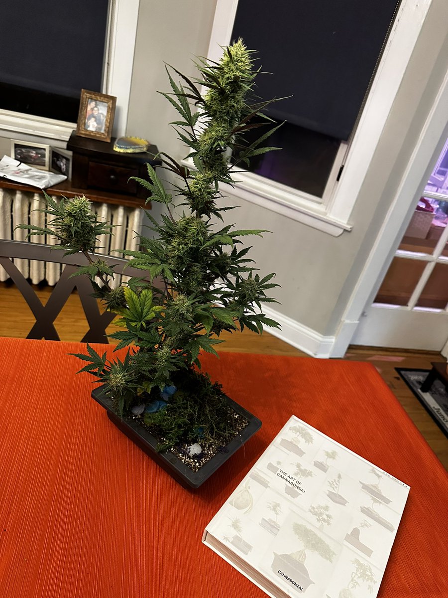 Investor meeting. 😮‍💨