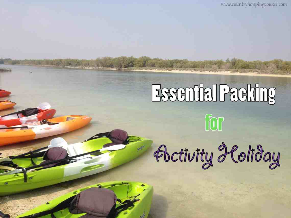 Anu & Sri | Country Hopping Couple | Wanderlusters tweet media