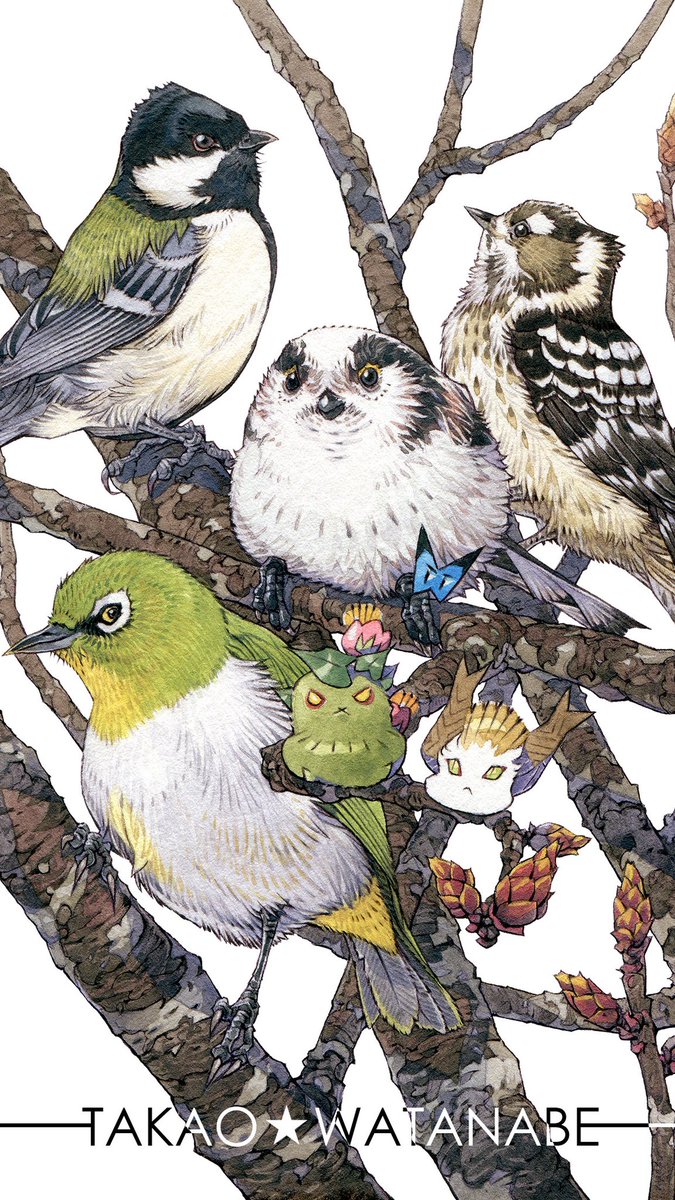 「『ジーっと見ている』野鳥に囲まれ遠くを見つめるコケダマちゃん。野鳥は時に「混群」」|渡辺孝夫のイラスト