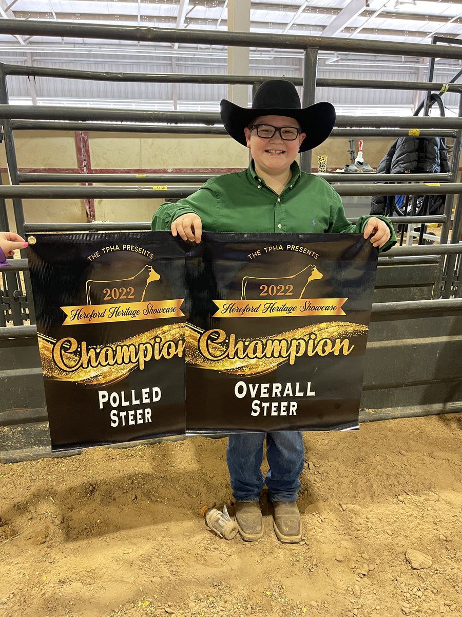 BornRanches's tweet image. TPHA Hereford Heritage Showcase Champion Polled Hereford steer and Overall Champion! Congrats to Brazos! Sold in the @pwroftheplains last March! Brothers will sell in 2023!