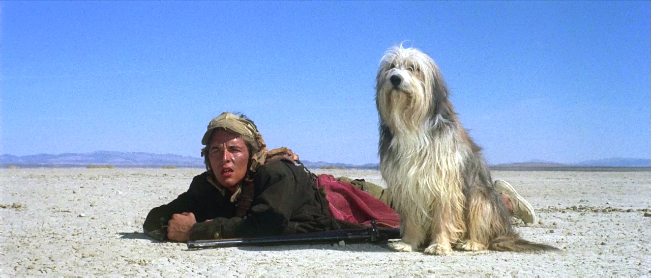Happy 73rd Birthday to the great Don Johnson! 